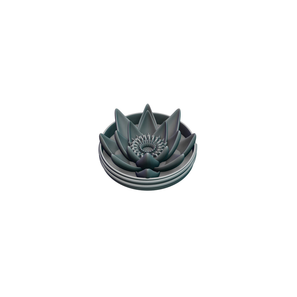 Druid Class 3D Printed Dice Storage Box | Dice Vault | Dice Jail | Tabletop RPG Gaming Cosplay - Dungeons and Dragon DnD D&D Wargaming
