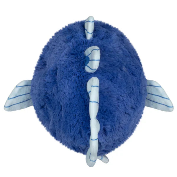 Squishable Coelacanth (Mini)