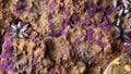 Gamers Grass | Tiny Tufts | Alien Purple