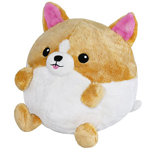Squishable Corgi in Basketball (Undercover)