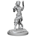 D&D: Nolzur's Marvelous Miniatures - Shifter Fighter