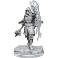 D&D: Nolzur's Marvelous Miniatures - Half-Elf Warlock