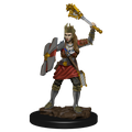 D&D: Icons of the Realms - Human Cleric Female