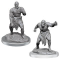 D&D: Nolzur's Marvelous Miniatures - Flesh Golems